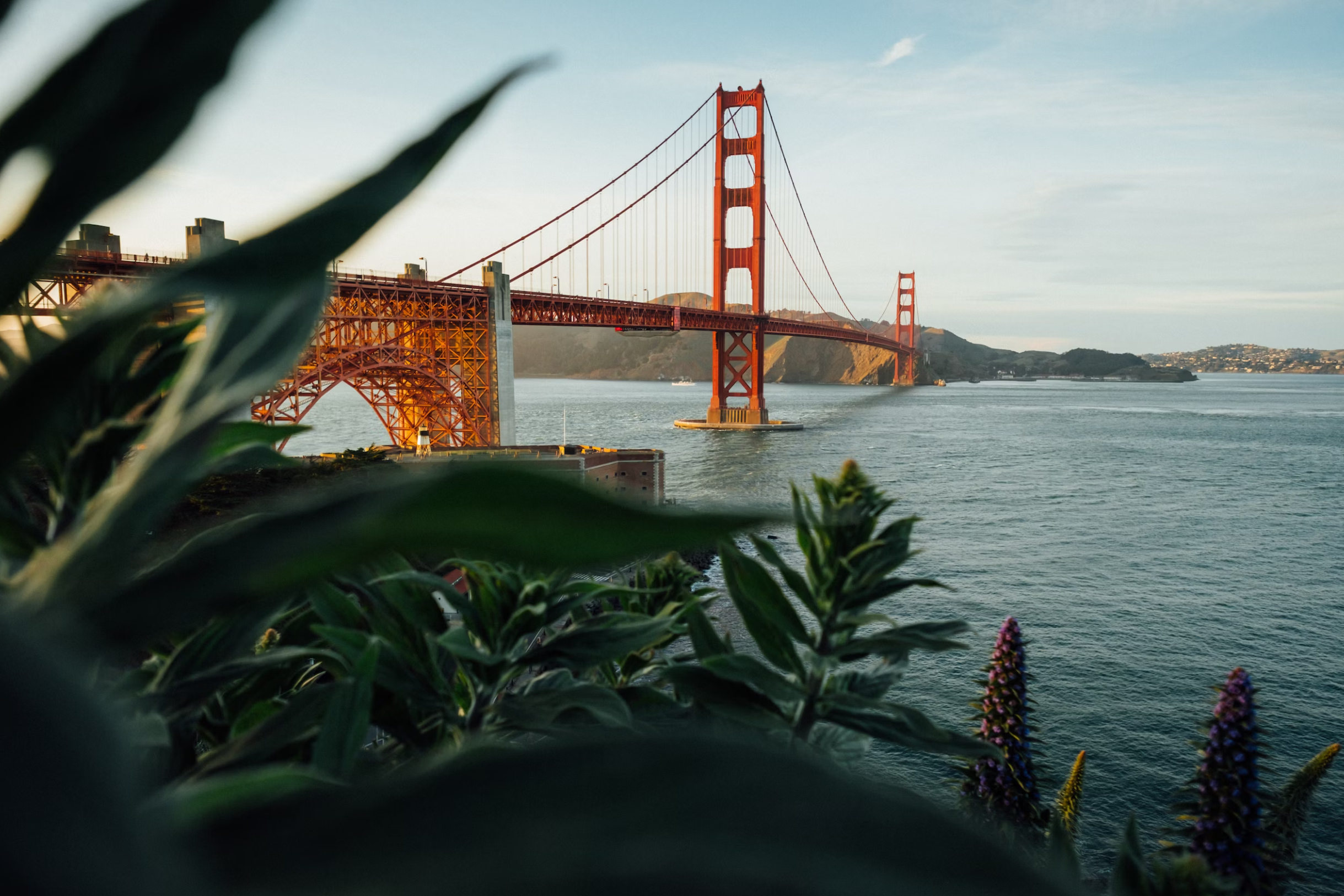 Unveiling Nature’s Splendors: Exploring San Francisco’s Enchanting Outskirts