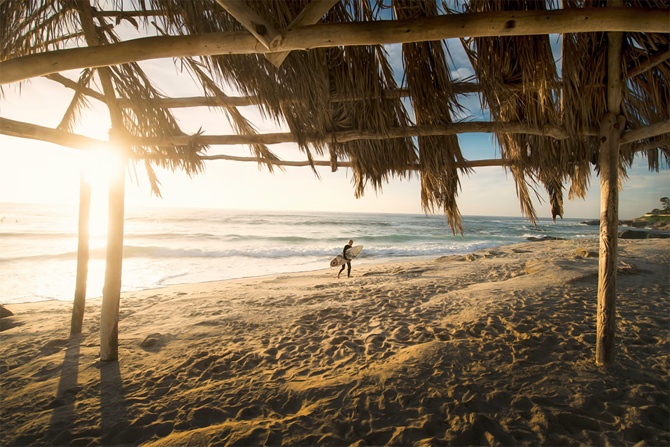 Riding the Waves: Embracing the Surfing Experience on San Diego’s Beaches